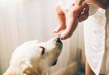 How to Introduce Pets to Your Newborn: Safety First